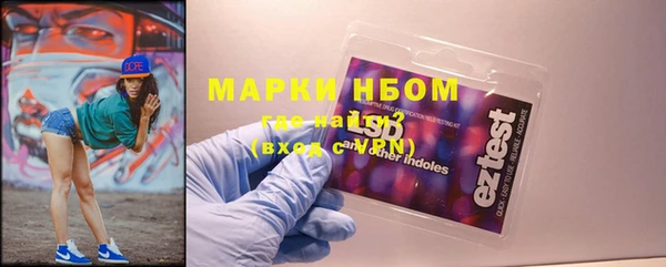 PSILOCYBIN Карталы