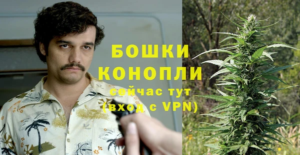 PSILOCYBIN Карталы