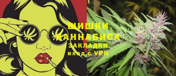 PSILOCYBIN Карталы